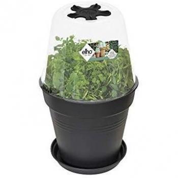 Elho Green Basics Grow House Round 17 - Transparent - Interior & Exterior - L 17 x A 17 x A 13.3 cm