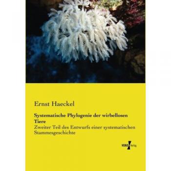 Historia Sistemática de la Filogenia de los Animales Invertebrados: Segundo Volumen del Diseño de una Historia Evolutiva
