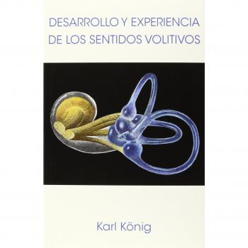 Desarrollo Y Experiencia De Los Sentidos Volitivos