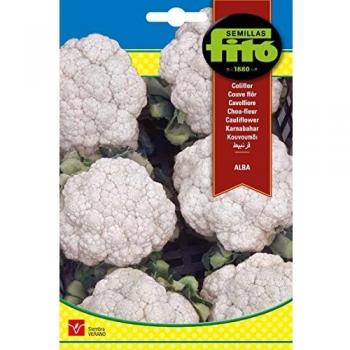 Semillas Fitó 87 - Semillas de Coliflor Alba