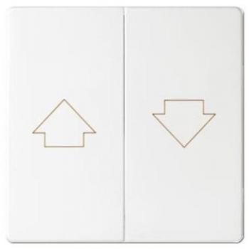 Simon 82028-30 - Tecla Persianas S-82, color Blanco Nieve