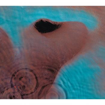 Pink Floyd Meddle Remastered 180g Multicolor Vinyl LP