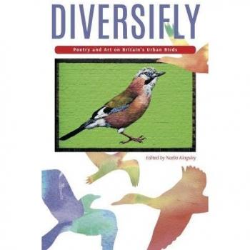 Diversifly: Poesía y Arte sobre las Aves Urbanas de Gran Bretaña