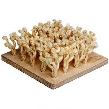 Tablero de Olores para Mascotas con Madera y Sisal - 24,2x9x24,2 cm
