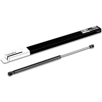 Amortiguador de maletero RIDEX 219G0146 para FIAT BRAVA (182), hidráulico, 520mm, 0,375kg