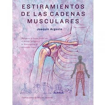 Estiramientos De Las Cadenas musculares