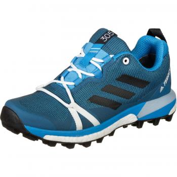 adidas Chaussures Femme Terrex Skychaser Lt GTX