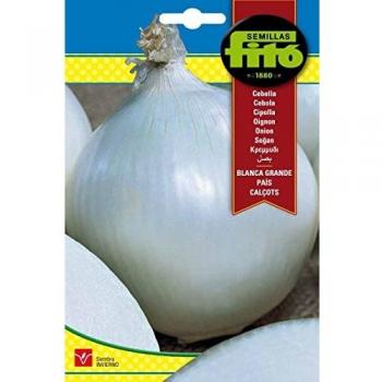 Semillas Fitó 46 - Semillas de Cebolla Blanca Grande País