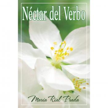 Néctar del Verbo - Bebida Energética Natural con Sabor Frutal y Sin Azúcares Añadidos