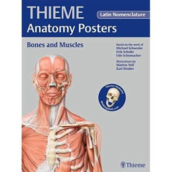 Thieme Anatomy Poster, Latin Nomenclature