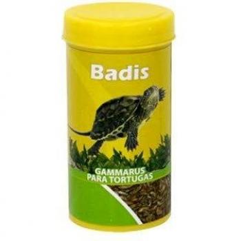 BADIS GAMARUS (1 LT 110 GR)