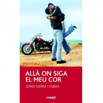 Allà On Siga el Meu Cor: 15 - Jordi Sierra I Fabra