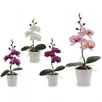 Ibergarden S3603059 Maceta, Blanco