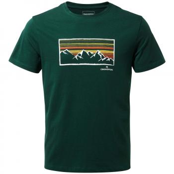 Craghoppers Calvino Short Sleeved Camiseta, Hombre, Green Mountain, Small