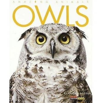 Owls