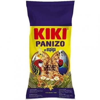 KIKI Panizo en Espiga para Aves Bossa