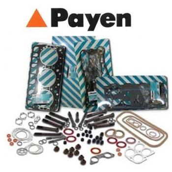 Payen NB932 retén de obturación para cigüeñal