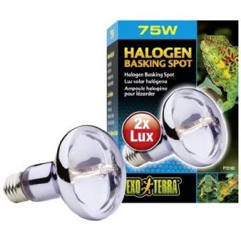 Exo Terra PT2182 Halogen Basking Spot, 75 Watt