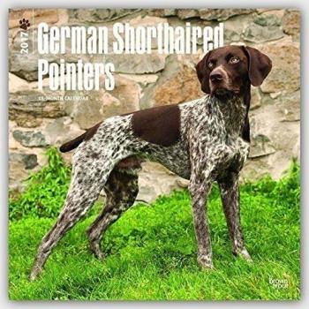 German Shorthaired Pointers - Deutsch Kurzhaar 2017 - 18-Monatskalender mit freier DogDays-App: Original BrownTrout-Kalender