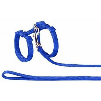 Set de Arnés y Correa de Nylon Azul para Gatos Nobby
