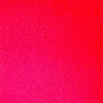 vidaXL Banco Almacenaje Piel Sintética Arcón Almacenamiento Asiento Acolchado Cuero Artificial Interior Dormitorio Entrada Baúl Puf Zapatero Rojo