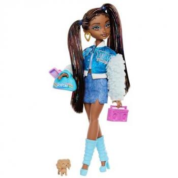 Barbie Dream Besties Brooklyn Doll and Accessories