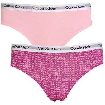 Calvin Klein Girls 2 Pack Modern Cotton Bikini Brief Repeat Logo Wild Aster Unique XLarge