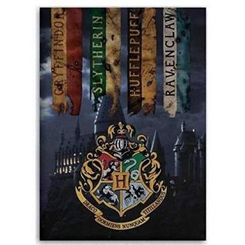 Manta Polar Harry Potter 140x100 cm - Diseño de las 4 Casas de Hogwarts