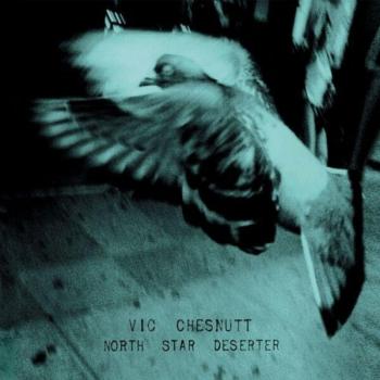North Star Vinyl Desert Camouflage