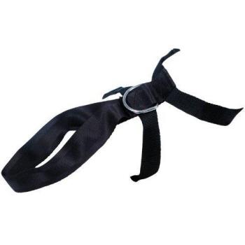 Martin sellier arnes del perro especial de auto x large