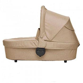 Harvey Capazo Fresh Olive