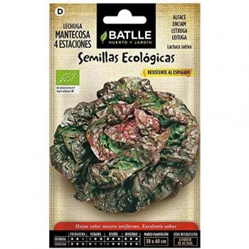 Lechuga Cuatro estaciones - ECO
