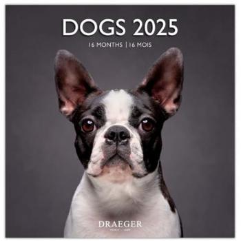 Calendario Mural Perros 2025 - 16 meses (septiembre-diciembre) mes vista por página, tamaño 29 x 29 cm, incluye fotografías de perros, disponible en 7 idiomas, con notas para citas y cumpleaños