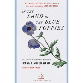In the land of blue poppies modern library