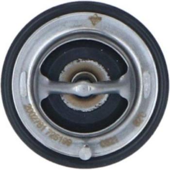 Termostato refrigerante EASY FIT NRF 725199