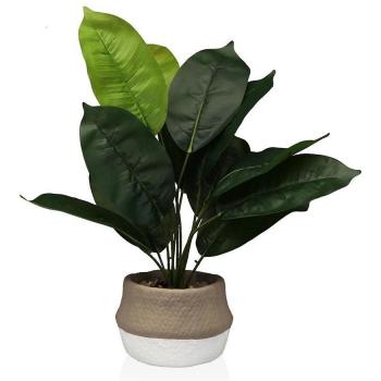 Planta en maceta Versa 43 cm