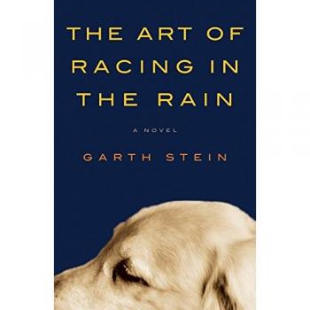 The Art of Racing in the Rain