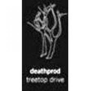 Treetop Drive