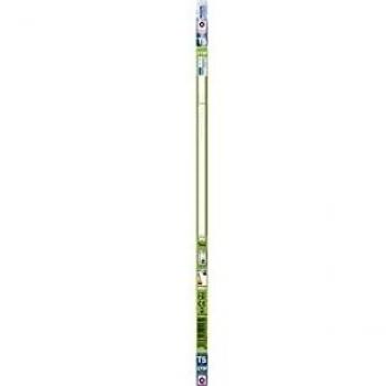 Garza Lighting - Tubo Fluorescente T5 Luz Fría 21W G5 1677 Lúmenes 6.500K