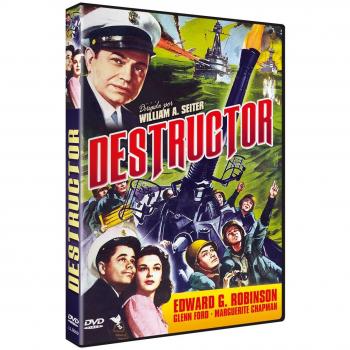 Destructor