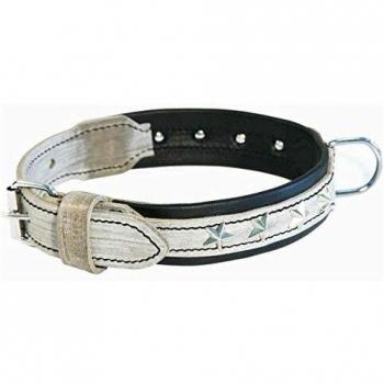 Collar y Correa Martin Sellier Montana para Perros (35, 60 cm)