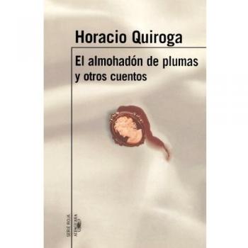 Almohadon de plumas y otros cuentos, el