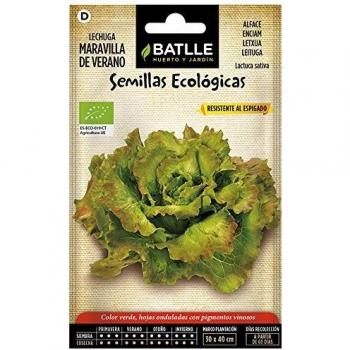 Lechuga Marv. Verano - ECO