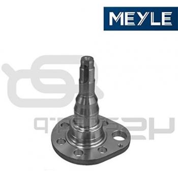 MEYLE Muñón del eje, suspensión de rueda para SEAT Ibiza, Cordoba, Toledo, Arosa, Inca y VOLKSWAGEN Golf, Polo, Vento, Passat (Ref: 100 501 0037