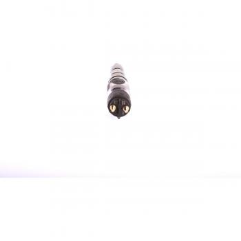 Inyector electromagnético Common Rail BOSCH 0 445 120 201