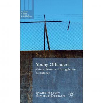 Young Offenders: Crime, Prison and Struggles for Desistance