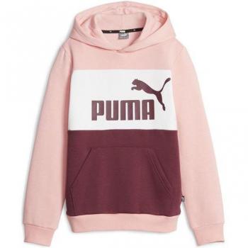 Sudadera Puma Essentials+ Colourblock para Niña con Capucha Rosa/Lila Modelo 849081-63