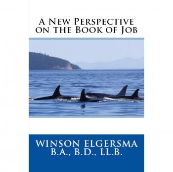 Nueva Perspectiva sobre el Libro de Job - Edición en Rústica