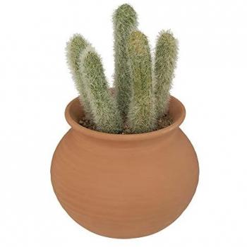Cactus Artificial Realista en Maceta Cerámica H16 para Decoración Interior y Exterior