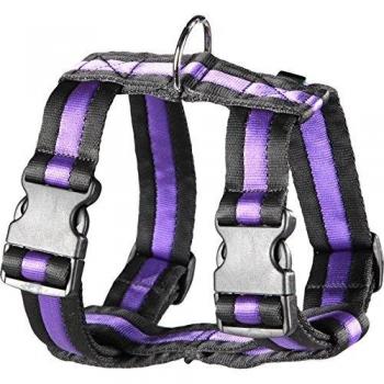 Arppe 198204030121 Arnés Nylon Acolchado MacQueen, Negro y Morado